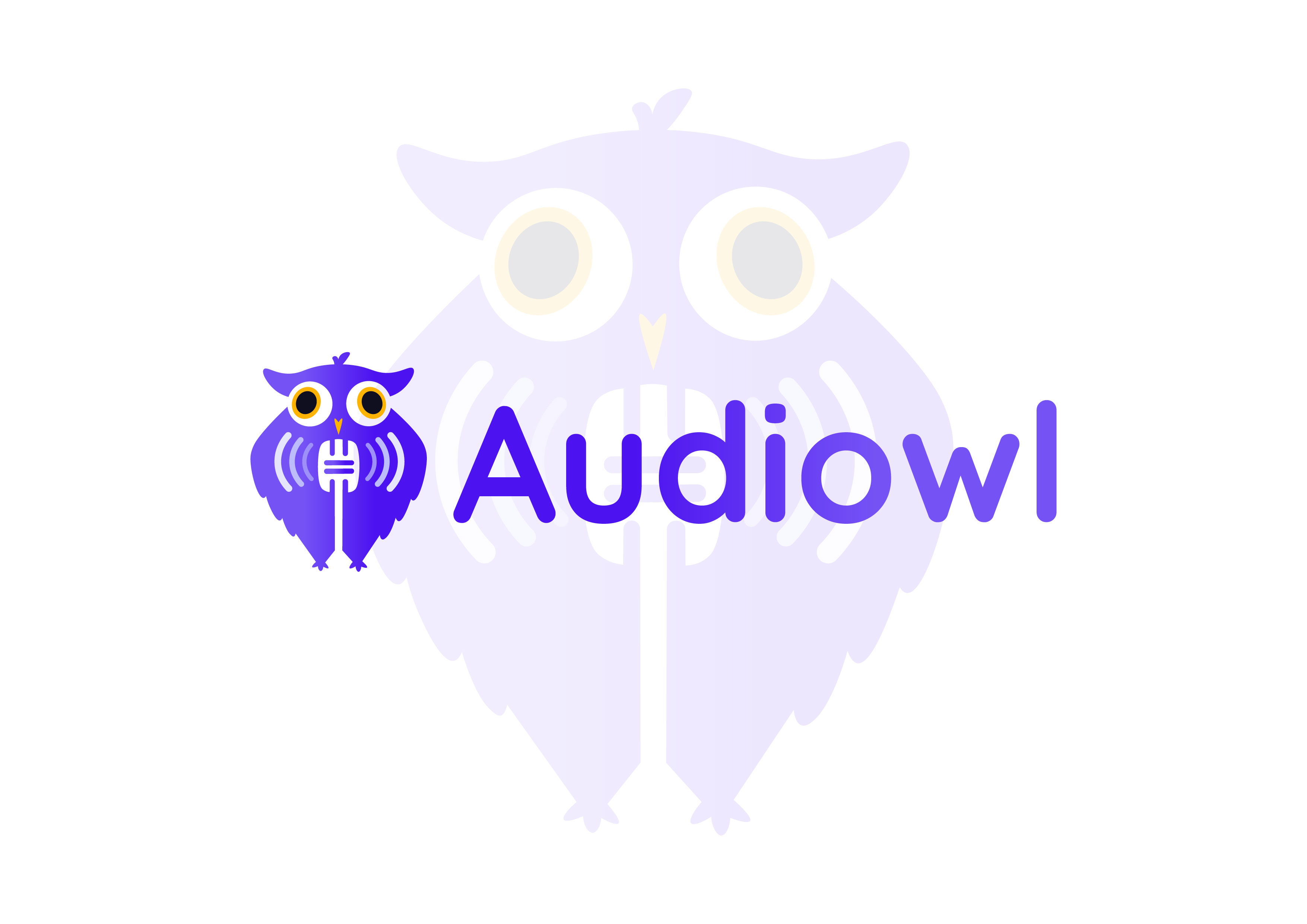 Work 3 Audiowl 01